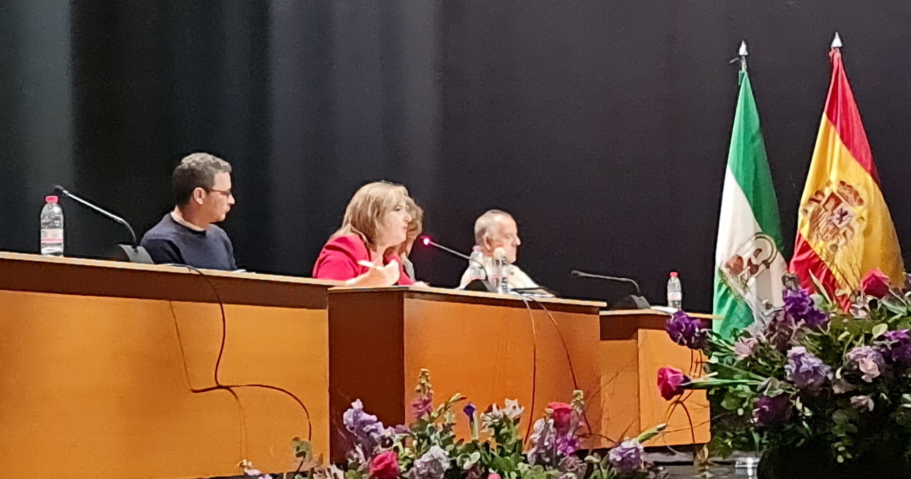 Rocío Palacios (PSOE) “Decimos no a un documento que se ha tramitado desde el oscurantismo, carente de transparencia y participación”.
